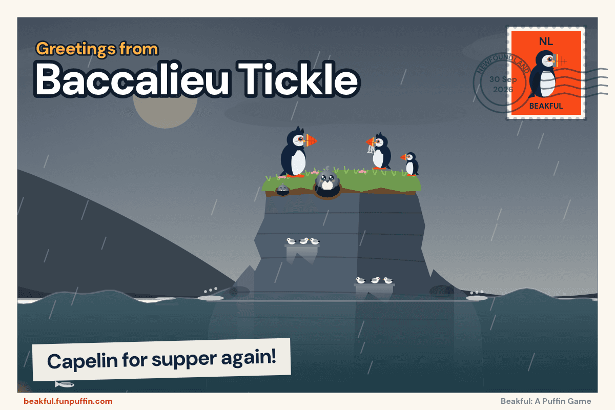 A Beakful postcard from Baccalieu Tickle: puffins on a sea stack in the rain