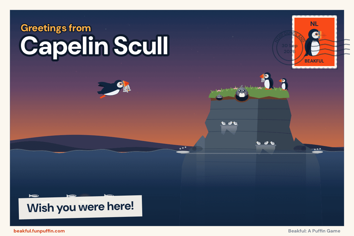 A Beakful postcard from Capelin Scull: a puffin flying in at sunset with a beak full of capelin