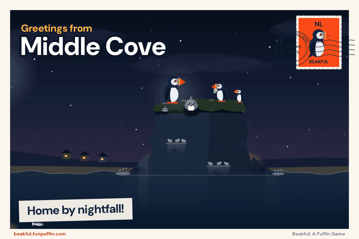 A Beakful postcard from Middle Cove: puffins on a sea stack under the night sky