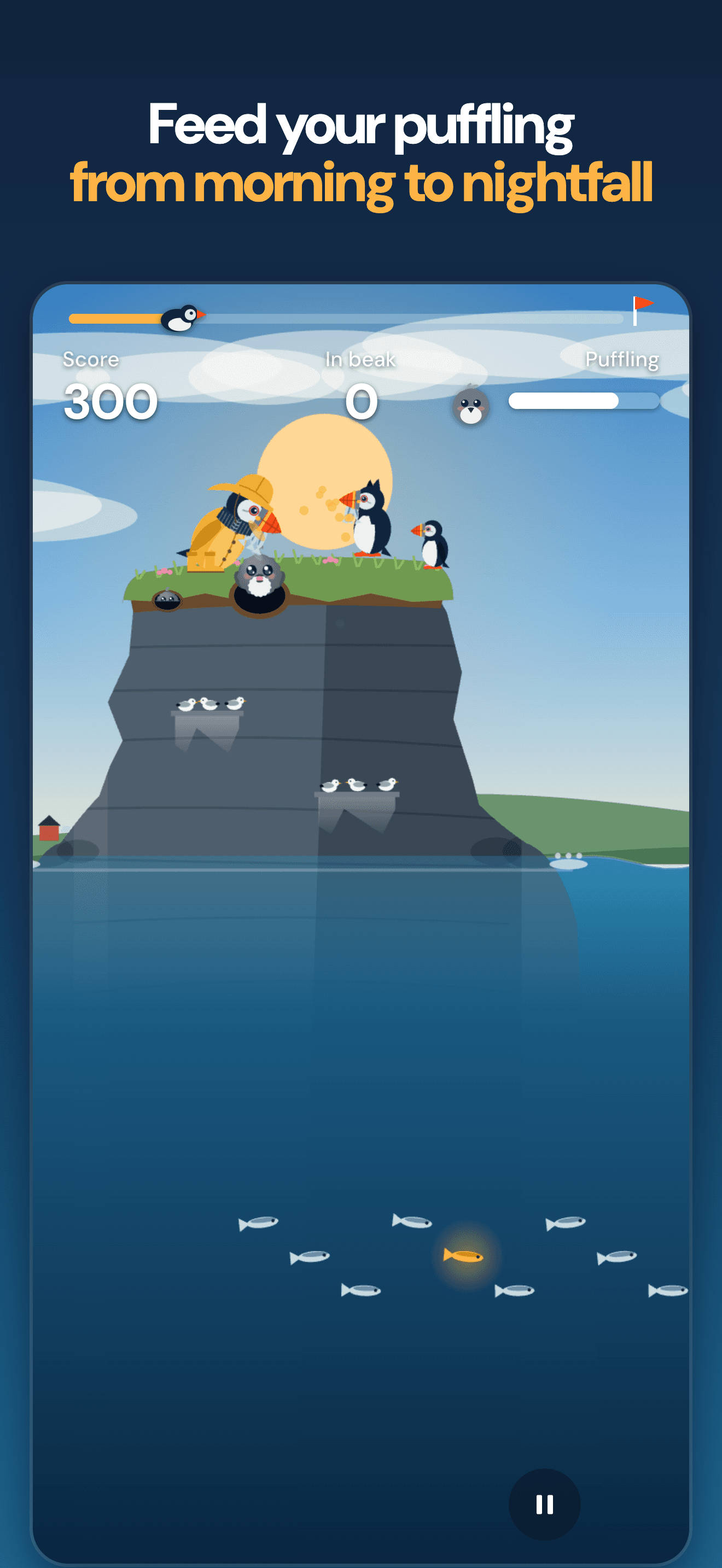 Feed your puffling from morning to nightfall