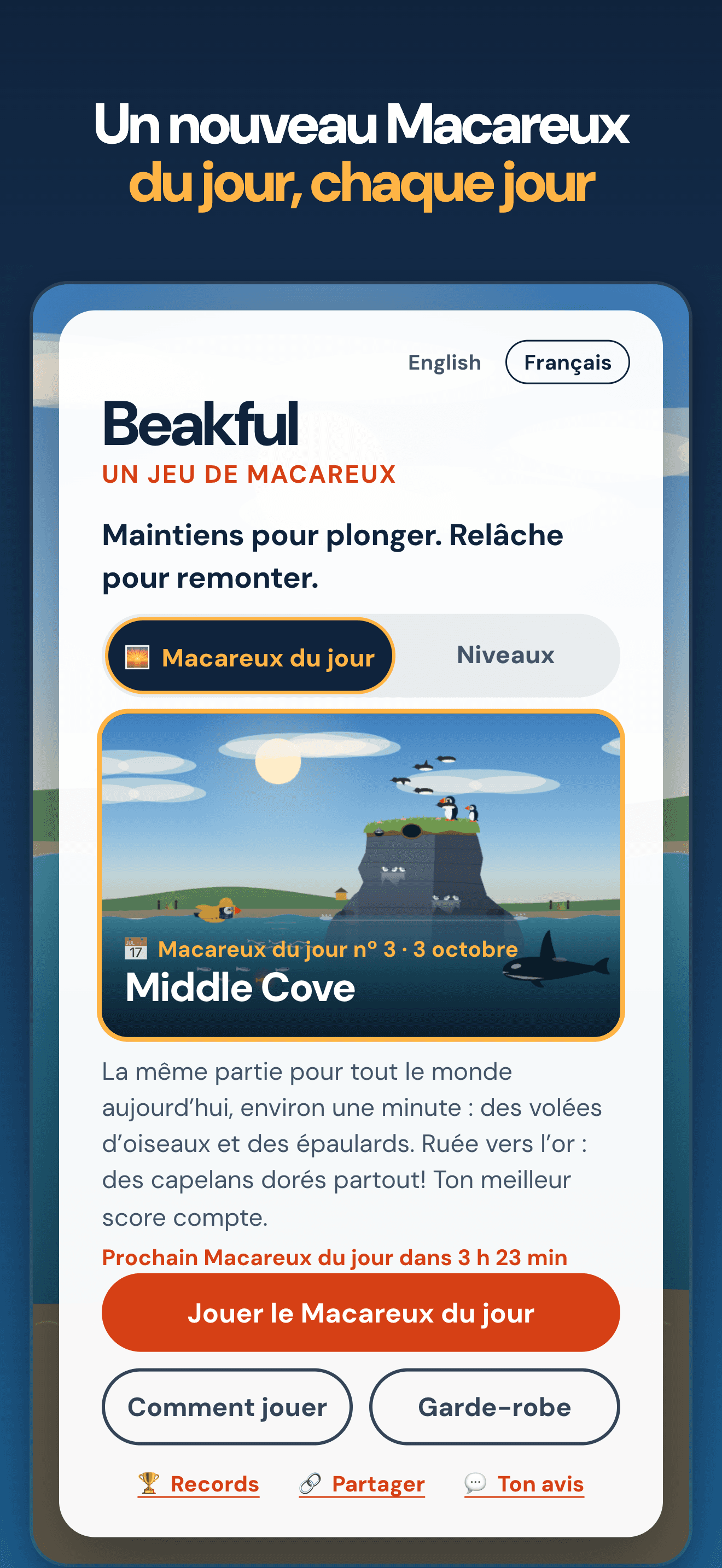 Un nouveau Macareux du jour chaque jour