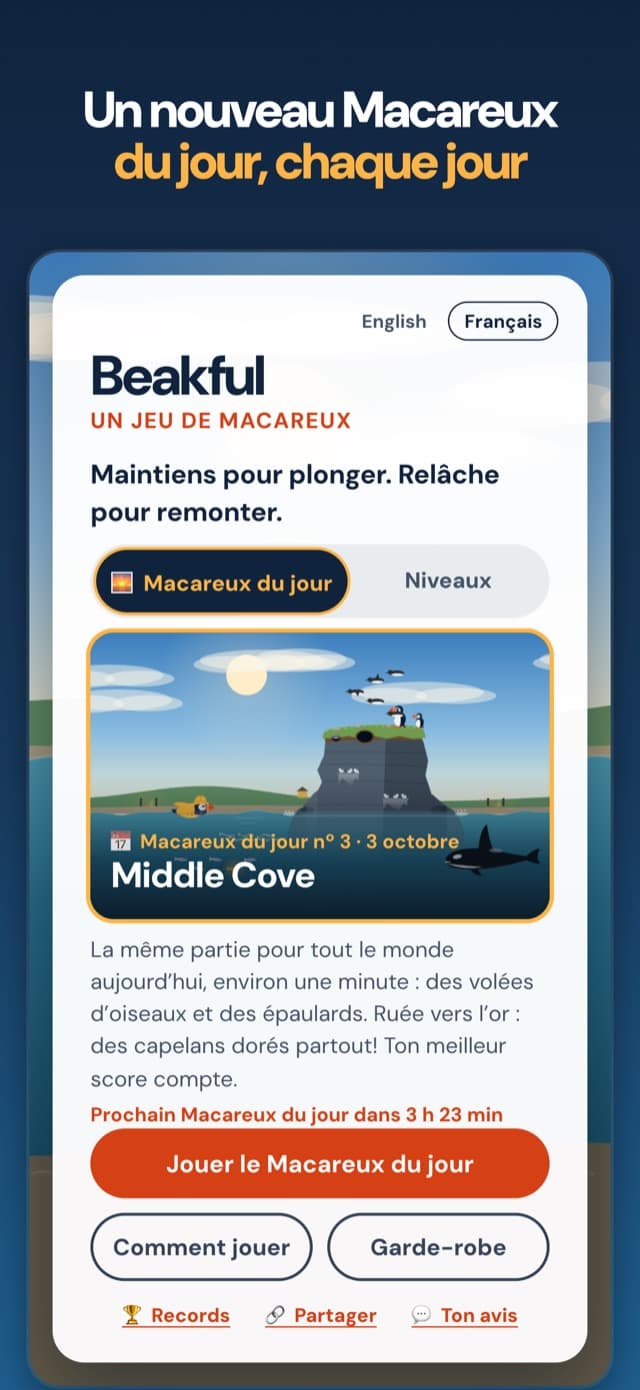 Un nouveau Macareux du jour chaque jour