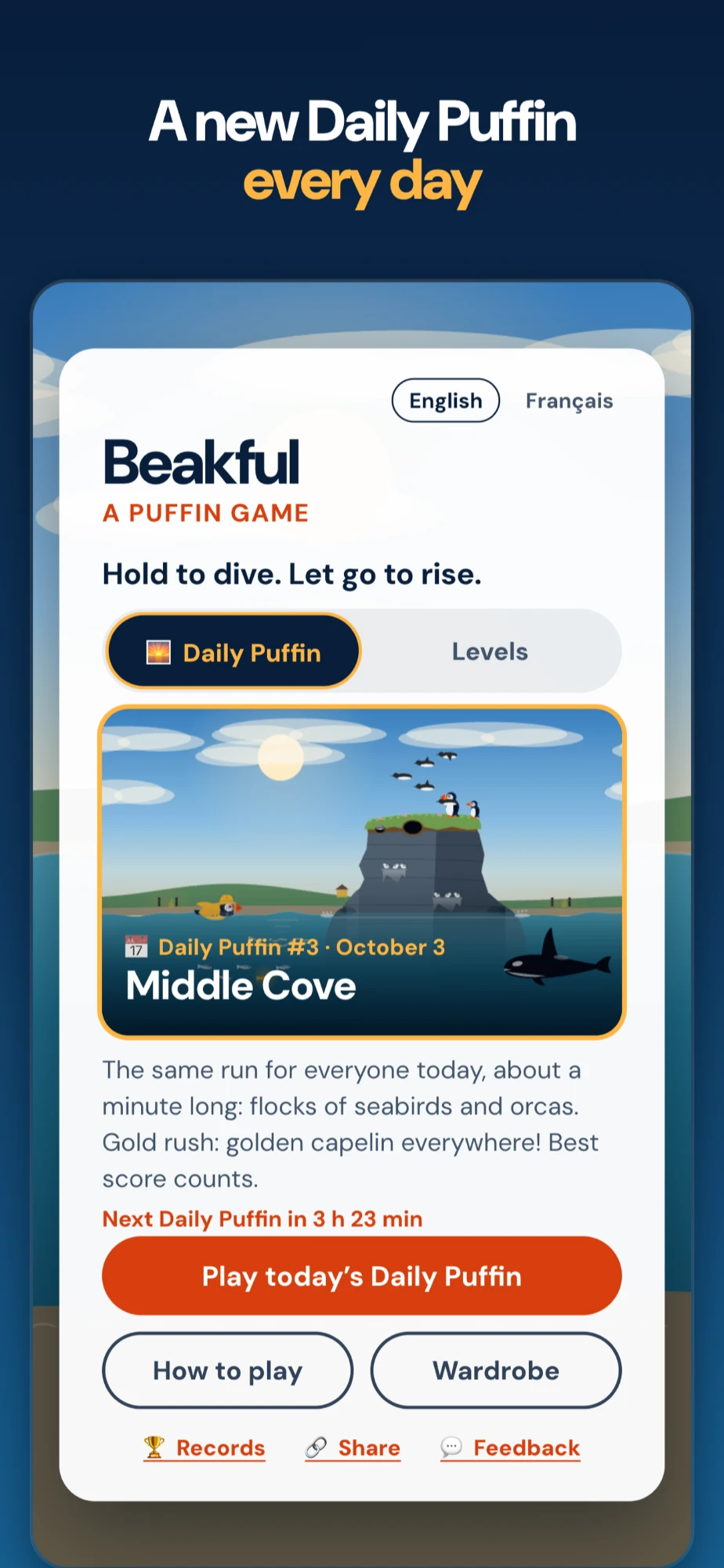 The Beakful app's Daily Puffin screen, showing Middle Cove with a countdown to the next one
